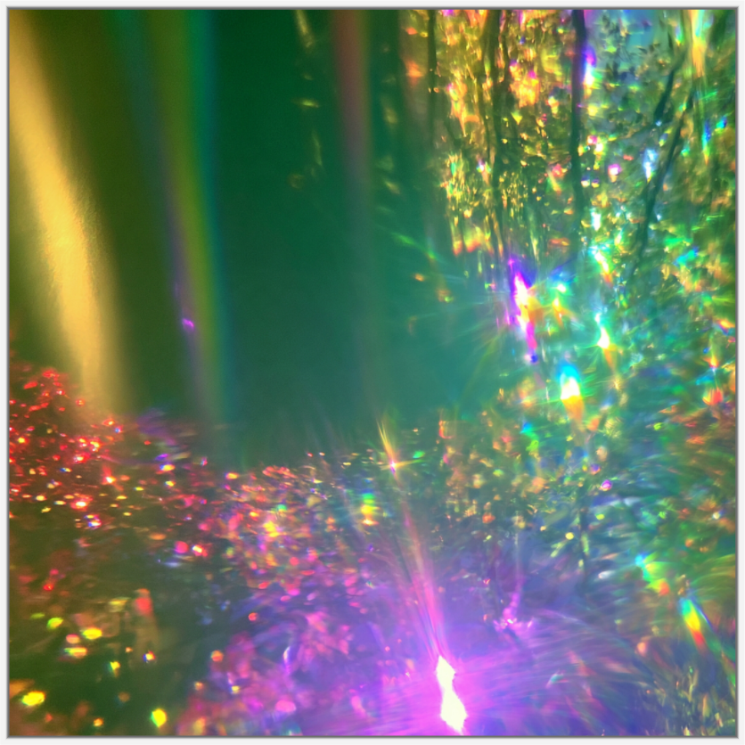 Main image Nagloed — Zonreflecties